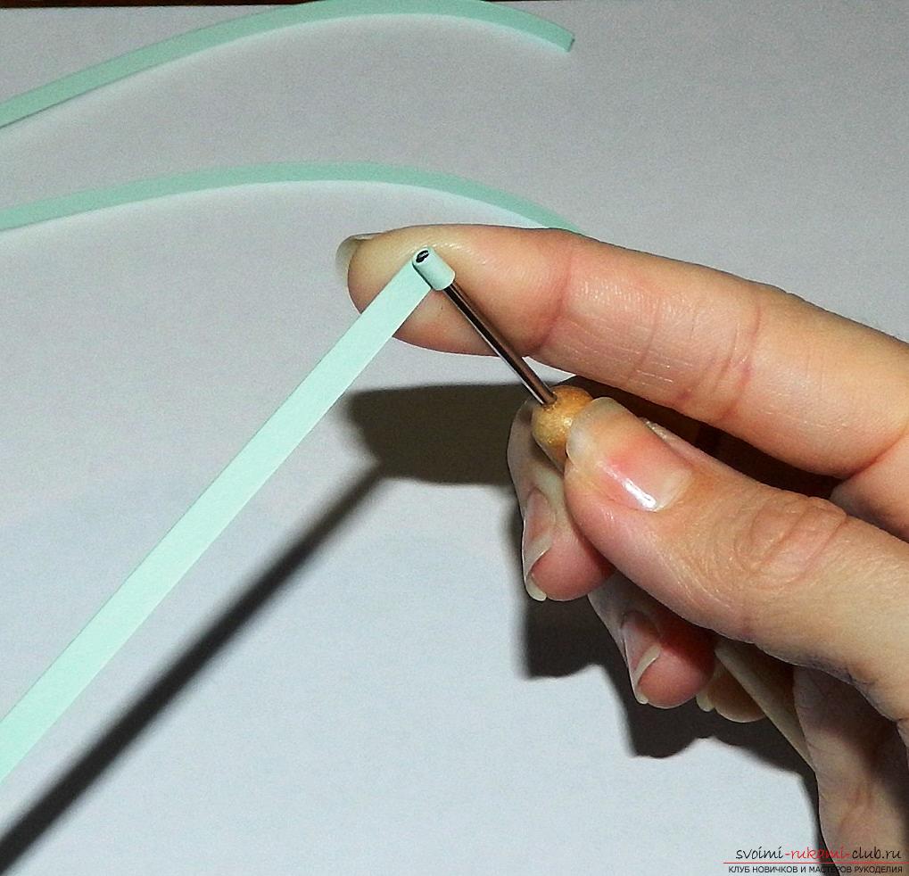 Мастер-класс простой открытки в технике квиллинг, делаем бабочку из бумаги своими руками.. Фото №3